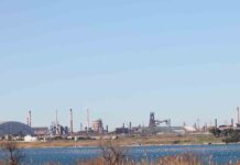 Ex Ilva, Gozzi (Federacciai): “Ipotesi Jindal? Giudizio difficile”