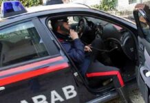 Controlli anticaporalato nel Tarantino: sospesa azienda agricola, due denunce