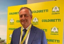 Eppur si muove… Agromed