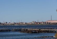 Ex Ilva, Jindal: “Pronti a rilevare l’intero perimetro, anche l’area a caldo”