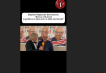 Elezioni Regionali, Borraccino: “Bassa affluenza, la politica si deve porre delle domande”