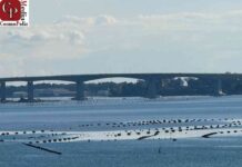 Il tempo che ci vuole