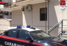Controlli del Nil, denunciati due imprenditori nel tarantino