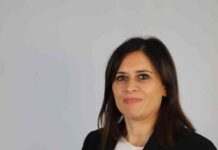 Nocco e i suoi fratelli (d’Italia)