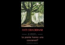 Le piante hanno una coscienza?