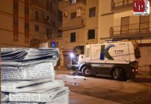 Per un’ecologia dell’informazione