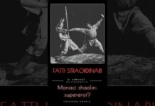 Monaci shaolin: supereroi?