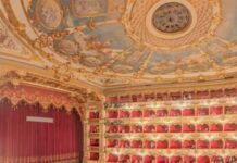 La scena e il cervello: drammaturgie della mente tra arte e scienza