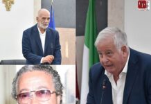 Di primo pelo