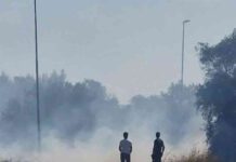 Pulsano, incendio a Lido Silvana: fiamme vicino all’ex Acquafolies